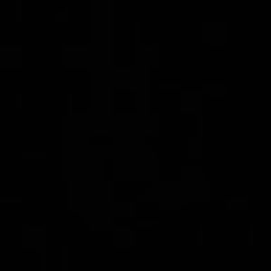 Meet your Posher, Lizzie